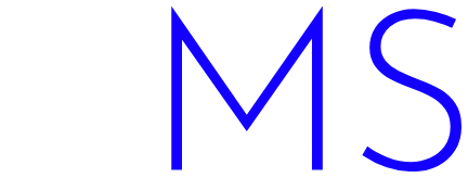 MS Novel